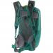 Backpack DEUTER Race Air 2231 Alpinegreen Forest