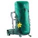 Backpack DEUTER Aircontact Lite 35 + 10 SL 2231 Alpinegreen-Forest