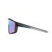 Glasses JULBO FURY 531 10 14 Black Grey Spectron 1CF