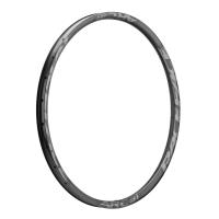 Rim RACE FACE RIM ARC CARBON 29 "36mm 28H GRY 2019