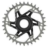 SRAM XX Eagle Chainring for Bosch 34T DU38 T-Type DM Black Silver 11.6218.059.003
